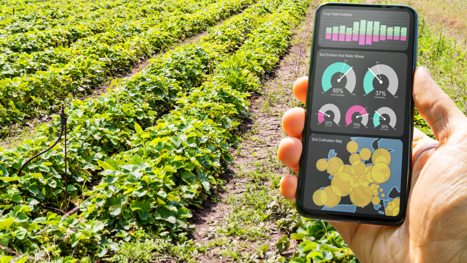 A man using advanced apps for a futuristic and sustainable farming - Blog on 7 practices of sustainable agriculture