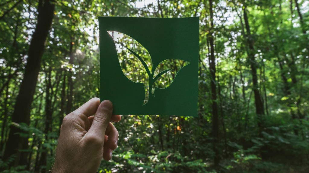 A hand holding a green square card with a plant-shaped cutout, revealing a blurred forest background