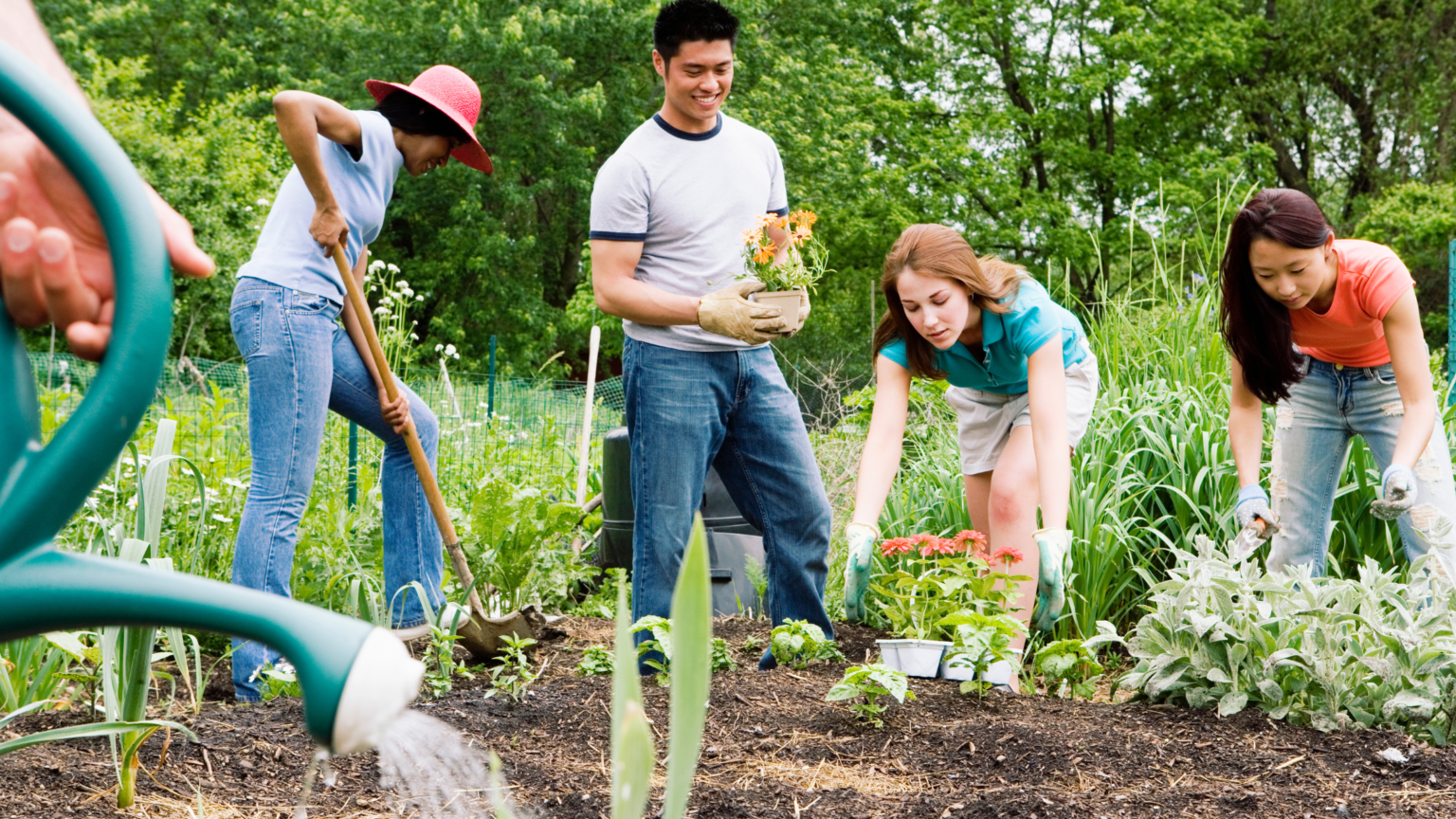 A family planting trees to promote sustainable living