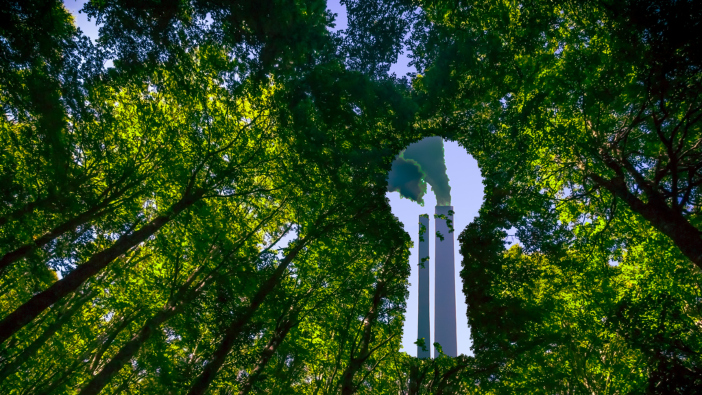 A picture of green trees in a forest with a glimpse of industrial emissions affecting our environment