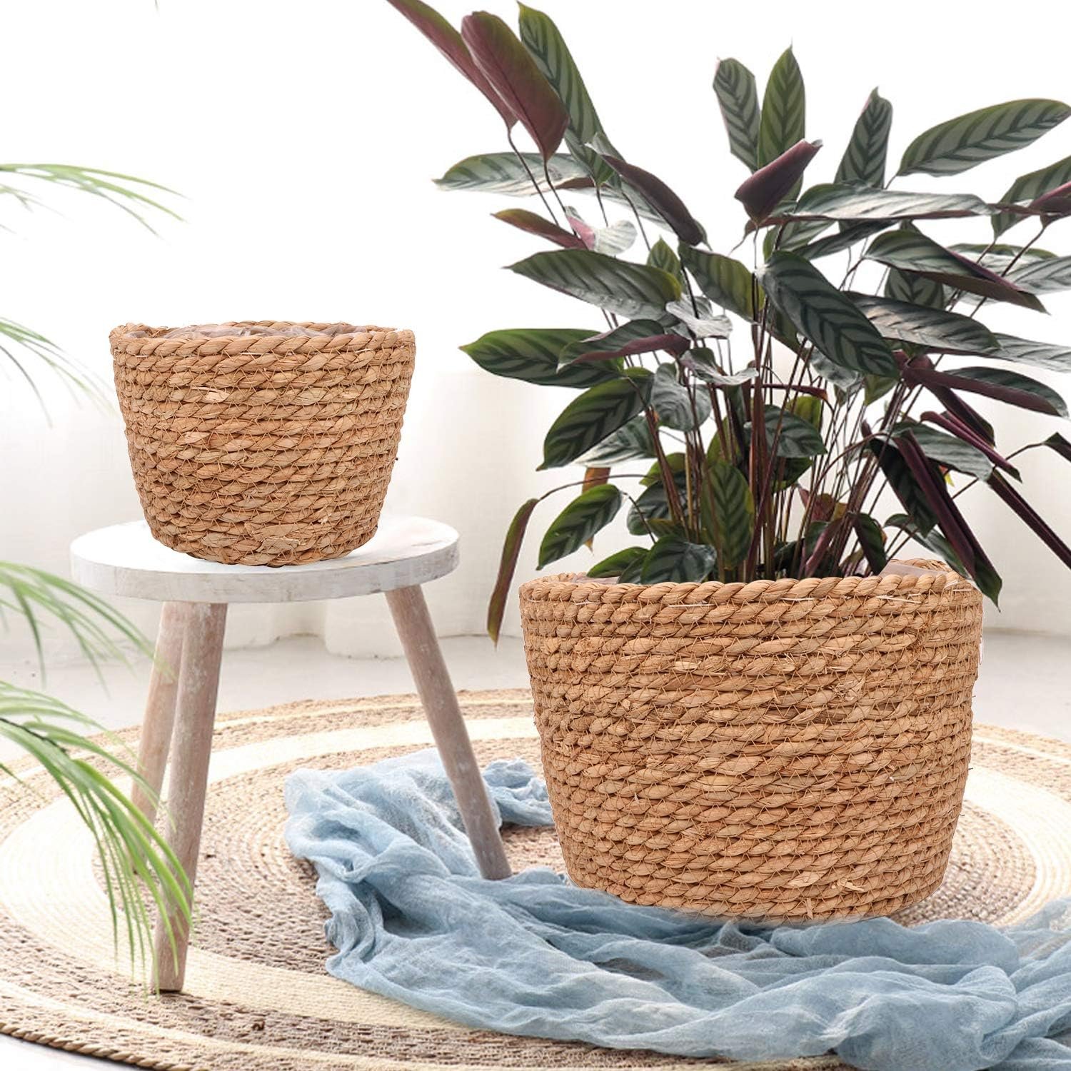 A basket woven with high-quality natural seaweed used as a planter or storage basket