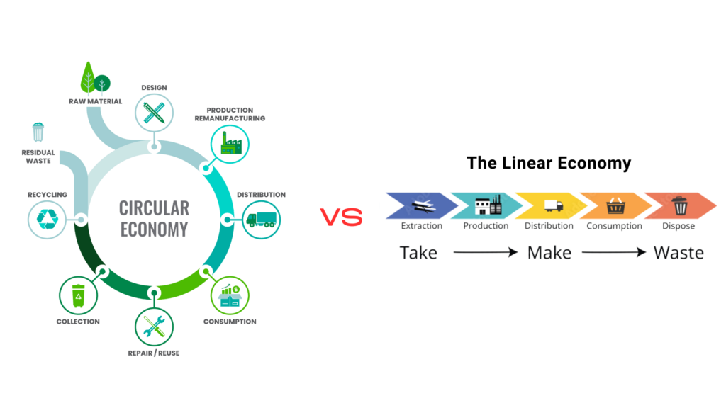 An image representing Linear Economy vs Circular Economy