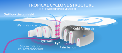 the formation of tropical cyclones.