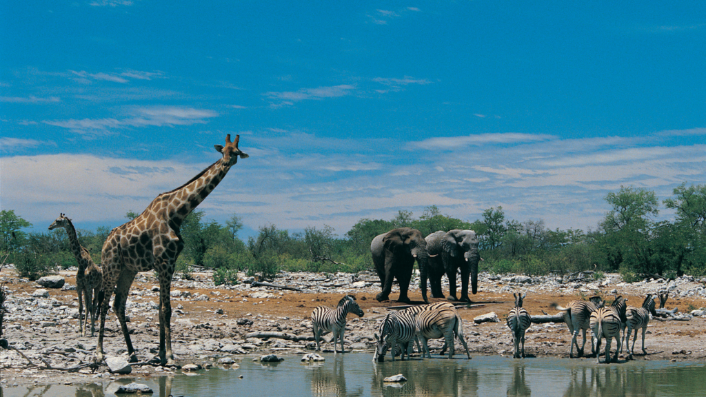 Different animal species in a landscape representing biodiversity