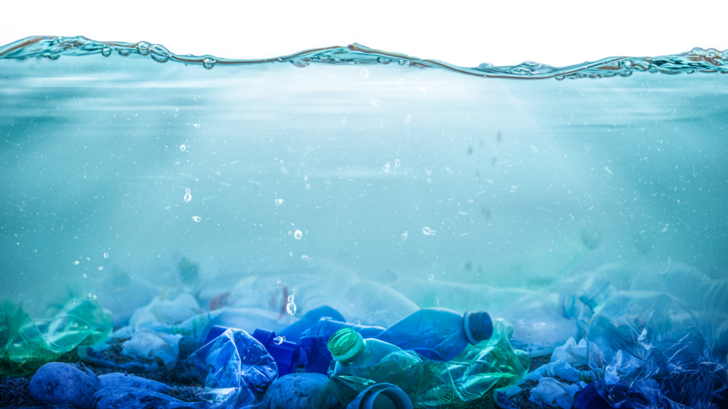 Plastic bottles and other debris polluting the ocean floor.